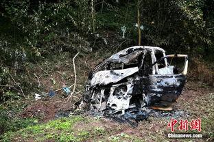 最新车祸新闻爆料网,事故详情及伤亡情况披露